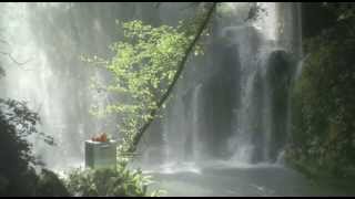 Hotpoint Active Oxygen Teknolojisi