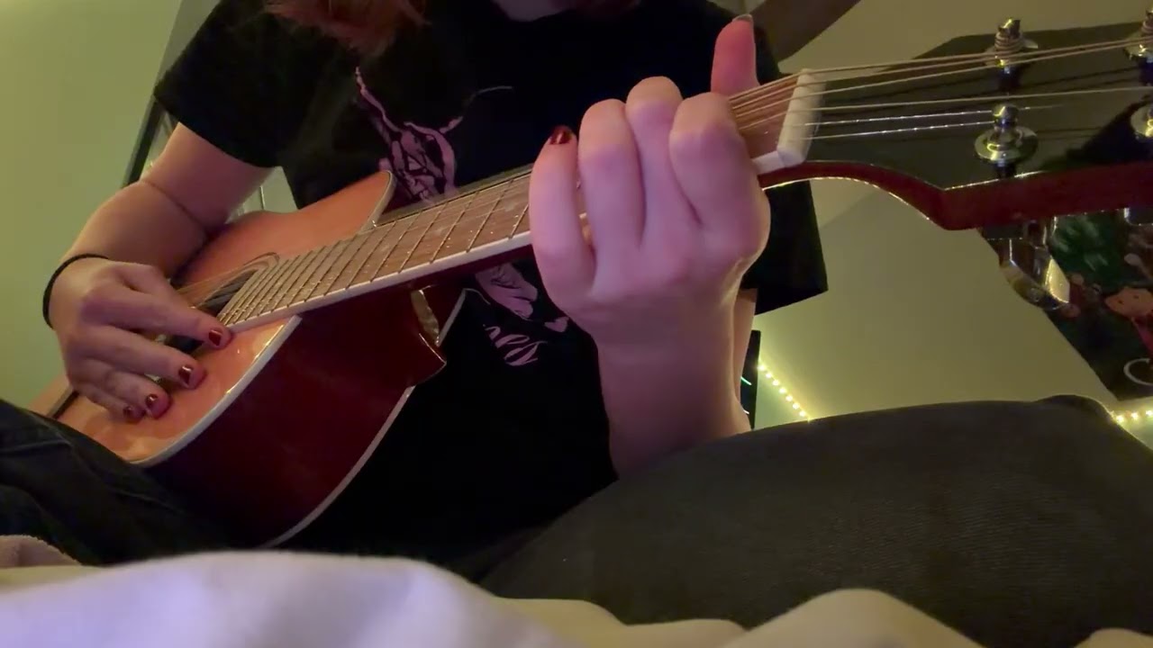 diver on my friends toy guitar