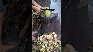 Download Lagu Dibacok sampe muncrat banyak khasiatnya #shorts MP3