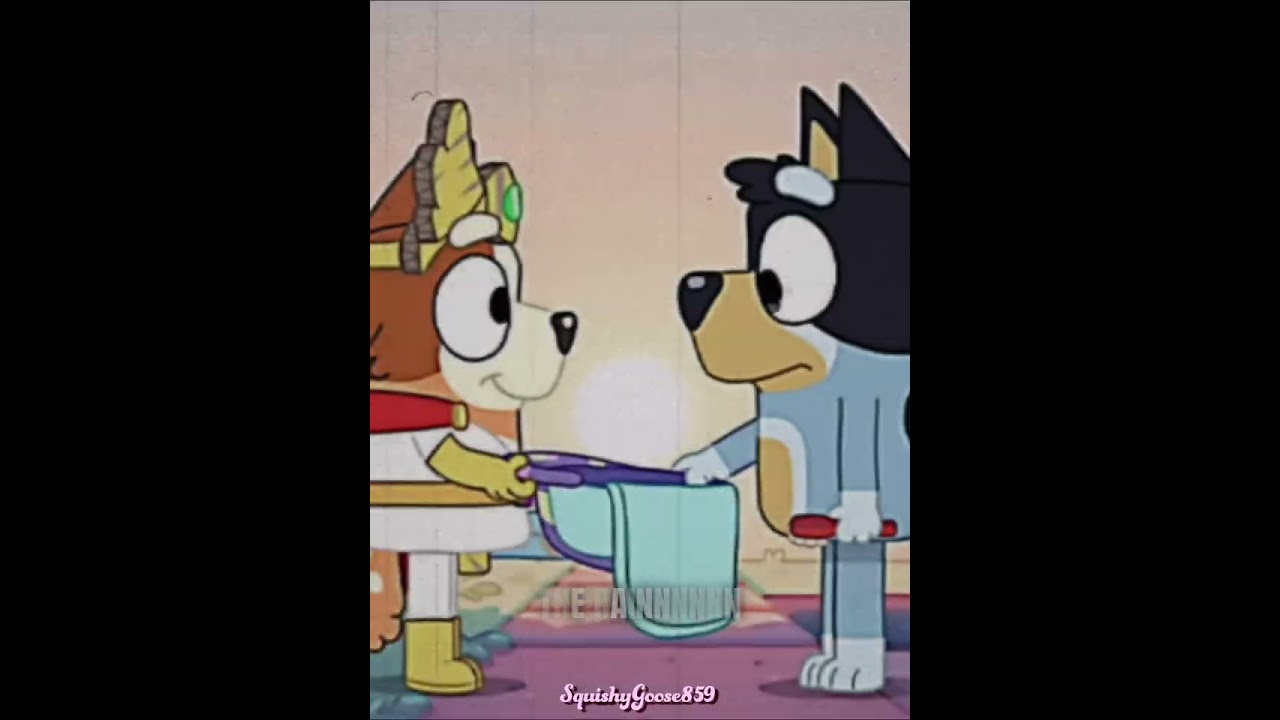 the rainnnnnnnn || Bandit and Chilli edit ❤️ || 