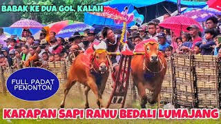 BABAK KE DUA BAGIAN KALAH KARAPAN SAPI RANU BEDALI LUMAJANG || KELAS BESAR, TANGGUNG & KECIL