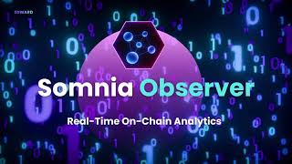 Somnia Hackathon: Somnia Observer