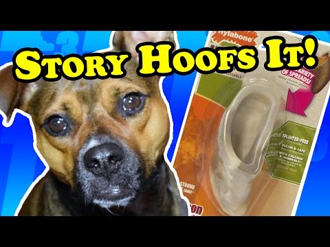 Nylabone alternative &amp; natural cow hoof comparison - Dog Toy Reviews | Nylabone DuraChew Hoof