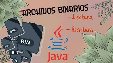 Manejo de Archivos Binarios JAVA (Lectura y Escritura)