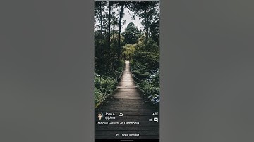 Xplorea: Social Media App UI with Flutter