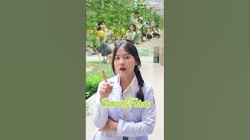 Công Nghệ Sinh Học Là Gì? Học Gì? | KHÁM PHÁ KHOA CÔNG NGHỆ SINH HỌC TTU