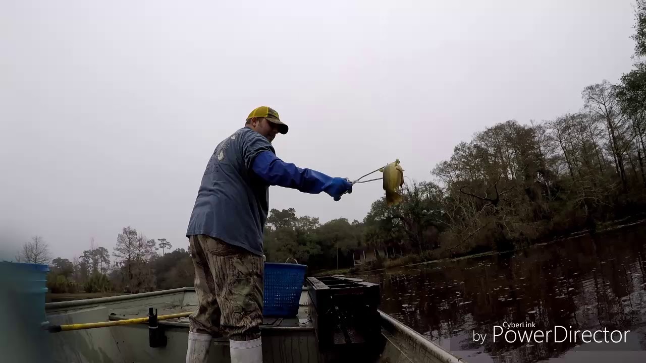 Are Slat Traps Legal In Louisiana?