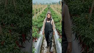 Gak mau kerja jadi terganggu cuma karena basah dan kotor?
