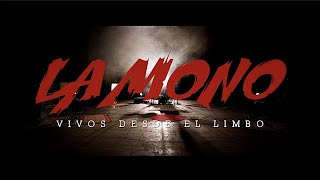 Video thumbnail of "Sueño de un Perdedor - La Mono Live Session"