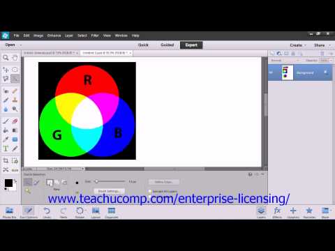 Adobe Photoshop Elements 12 Tutorial Making Selections Employee Group Training  8.7