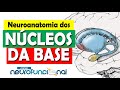 NÚCLEOS DA BASE: Neuroanatomia Funcional (Aula Completa)