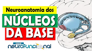 Qual a função do núcleo rubro?