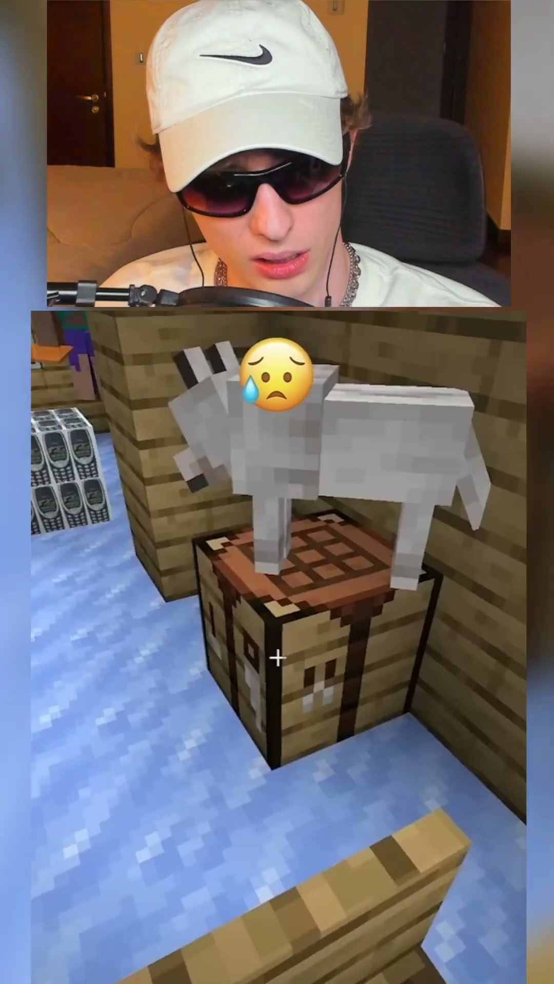 Que raro está MINECRAFT ?
