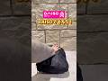 【DAISOヤバイ! | これで旅行パッキンが楽になる5選!】#daiso #旅行 #便利グッズ