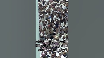 تلاوة رائعة جدا للشيخ #ياسر_الدوسري من سورة #فصلت في #تهجد #الحرم_المكي ليلة ٢٥ #رمضان