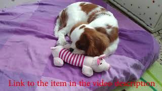 Cute Pet Dog Cat Plush Squeak Sound Dog Toys Funny Fleece Durability Chew Molar Toy Fit for All Pets screenshot 3