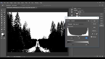 Adobe Photoshop CC Masking with Channels