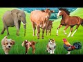Real Farm Animal Sounds Cow Duck Goat Sheep More Adorable Animal Moments Animalsounds Real Farm Animal Sounds Cow Duck Goat Sheep More Adorable Animal Moments Animalsounds