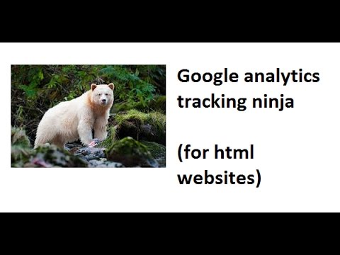 Google Analytics Tracking Ninja Script  For Html  Websites (configuration Expert For Hire)