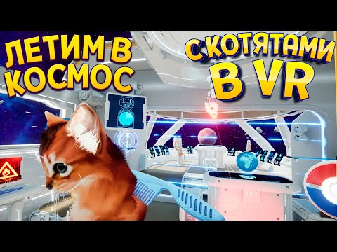 Видео: ЛЕТИМ В КОСМОС С КОТЯТАМИ В ВР ( Kitten'd VR )