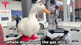 Buying a Tesla for my Duck 🦆