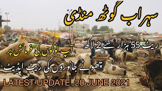 Sohrab Goth Mandi Latest Rate Update | Latest Update 20 June 2021 | Bakra Eid Season 2021