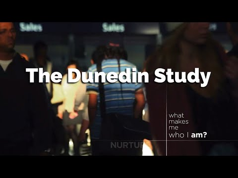 Video: Zakaj študiram v Dunedinu?