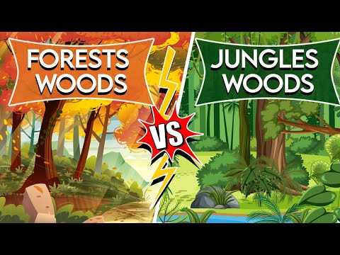 What is the Difference Between Forests, Woods, and Jungles ?