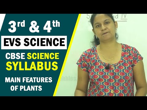 3rd & 4th EVS Science | CBSE Science Syllabus | Main Features of Plants