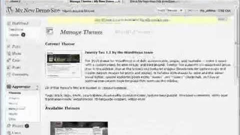 Wordpress Tutorial Video Excerpt 16 - Video 16 - Customize the Theme