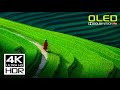 Unbelievable The Most Stunning HDR Video You Haven T Seen Yet 4K 60 FPS Dolby Vision Unbelievable The Most Stunning HDR Video You Haven T Seen Yet 4K 60 FPS Dolby Vision
