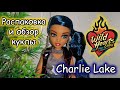 Charlie Lake. Wild Hearts Crew doll #gerberafantasystories