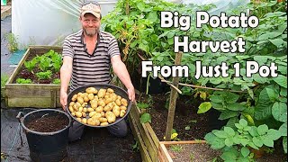 My Biggest Container Grown Early Potato Harvest Ever !!