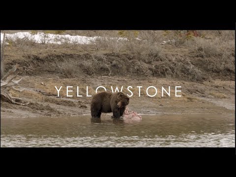 yellowstone-||natures-true-beauty,-episode-1||