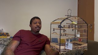 PORQUE OS COLEIROS CORREM QUANDO OS CHEBEIROS PEGAM DE MÃO? E FÁCIL CULPAR QUEM N PODE SE DEFENDER !