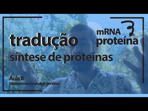 Vídeo: O Regulador De Iniciação Da Tradução Eucariótica CDC123 Define Um Clade Divergente De Enzimas ATP-grip Com Um Papel Previsto Em Novas Modificações Proteicas