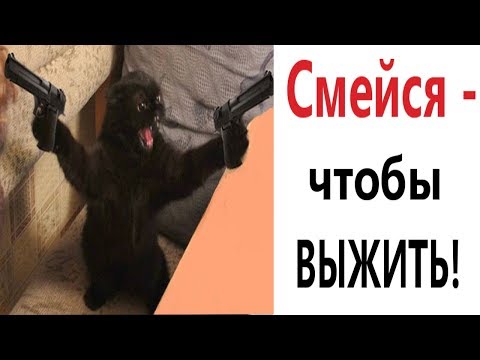 Лютые приколы. ЧТОБЫ ВЫЖИТЬ - СМЕЙСЯ!!! Ржака до СЛЁЗ – САМОЕ СМЕШНОЕ ВИДЕО - Domi Show