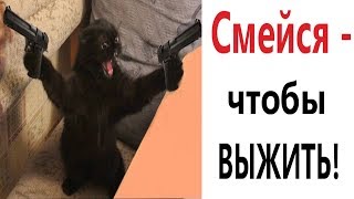 Лютые приколы. ЧТОБЫ ВЫЖИТЬ - СМЕЙСЯ!!! Ржака до СЛЁЗ - САМОЕ СМЕШНОЕ ВИДЕО - Domi Show