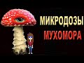 10 Strim №10.  Микродозы с баб Машей))