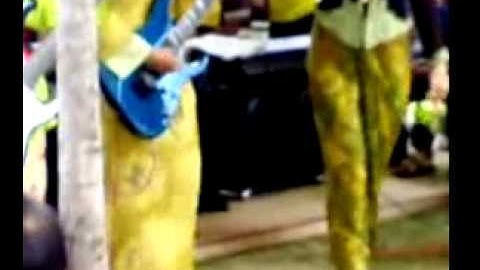 helda pily-kucing garong-butterfly