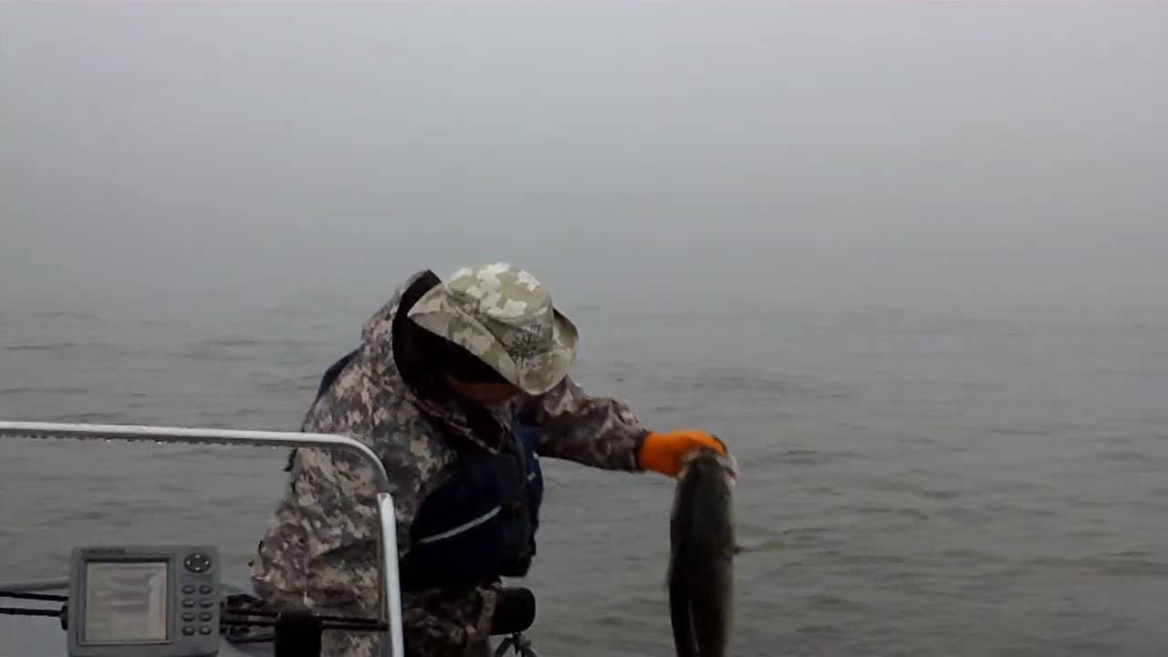 tennessee striper fishing YouTube