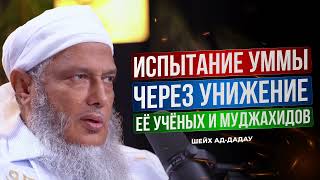Испытание уммы через унижение ее ученых и муджахидов | Шейх Мухаммад аль-Хасан ад-Дадау