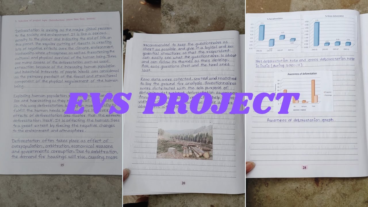 methodology of deforestation evs project