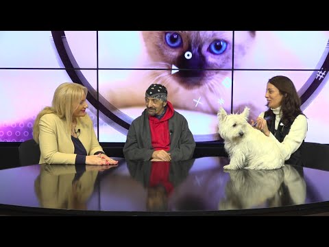 dato evgenidze დათო ევგენიძის თუთა