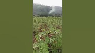 lokasi serategis luas 5 hetar surat AJB bisa di hubungi di 085776500921