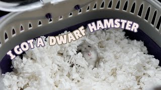 I GOT A DWARF HAMSTER by Victoria Raechel 88,255 views 4 months ago 6 minutes, 30 seconds