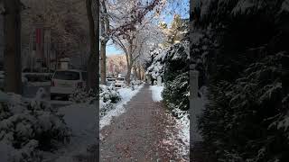 Andando por acera de Baden. Suiza nevada en invierno.