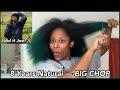 I DID THE BIG CHOP | Cutting my LONG Natural Hair into a Short Tapered Cut | frizzeecurlz