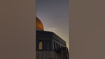 سورة إبراهيم آية ٤٢ 🇵🇸| وَلَا تَحْسَبَنَّ اللَّهَ غَافِلًا عَمَّا يَعْمَلُ الظَّالِمُونَ