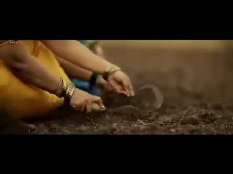 gahu dayas bajri dayas mp3 gahu dayas bajri dayas mp3